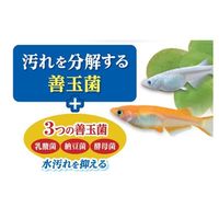 メダカ元気 プロバイオフードクリア 40g 1セット（1個×3）ジェックス
