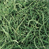 香りきわだつ おいしいチモシー うさぎ ドライ 1.1kg 1セット（1袋×3）ジェックス