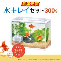 金魚元気 ぶくぶく 水キレイセット S 1台 ジェックス