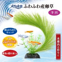 メダカ水景 ふわふわ産卵草 半円 1セット（1個×3）ジェックス 水槽用