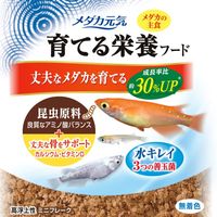 メダカ元気 育てる栄養フード 30g 1セット（1個×3）ジェックス