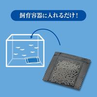 メダカ元気 生きたプランクトンフード 国産 1セット（1個×3）ジェックス