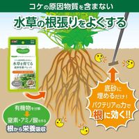 MeGreen 水草を育てる底砂栄養ペレット 10g 1セット（1個×3）ジェックス