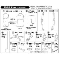 【軒先渡し】 ストア・エキスプレス 軽量ABS製婦人腕付きトルソー キャスター付き 1台 8066-17000（直送品）