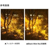 ケンコー・トキナー 「エグザプロ」 フィルタークリップ+Black Mist No.05 セット EXP-FCBM05-01 1個（直送品）