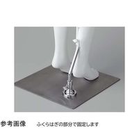 アズワン PP製 紳士パンツトルソー 白 67-6609-39 1個（直送品）