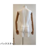 アズワン 紳士腕付きトルソー M 67-6609-41 1個（直送品）