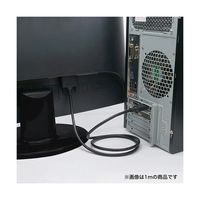 ホーリック Displayport→DVI変換ケーブル 3m DPDV30-724BB 1本 67-2507-73（直送品）