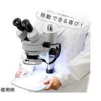 マイクロネット Cマウントズーム式実体顕微鏡 三太C + SIMPLE5+TK8 YS03C+SIMPLE5+TK8 1セット（直送品）