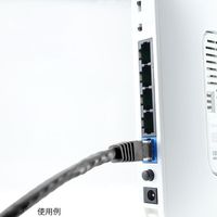 ホーリック LANケーブル UTP カテゴリー6A 10m ブラック LC100-582RB 1本 65-1793-79（直送品）
