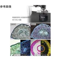 サンコー DinoーLiteシリーズ用バックライトイルミネーター DINOBLCDW 1個 65-4351-79（直送品）