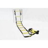 アズワン 槽内入出用ナイロンラダー 3m 67-9247-98 1セット（直送品）