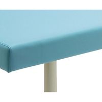 フィフティ・ヴィジョナリー 診察台ベッド 70ー70 ブルー FV-215-BL-W70-H70 1台 67-9285-34（直送品）