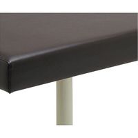 フィフティ・ヴィジョナリー 診察台ベッド 75ー60 ブラウン FV-215-BR-W75-H60 1台 67-9285-50（直送品）