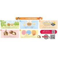 チョコレート菓子 マカダミアチョコレート　ビッグパック 1セット（1個×3）