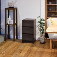 JEJアステージ　壁付デコニーシーヴォ3段　ダークブラウン　　1台