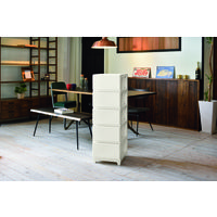 JEJアステージ　デコニーシーヴォ5段　ホワイト　　1台