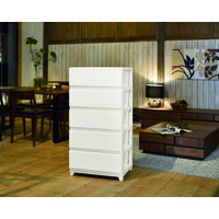 JEJアステージ　デコニーシーヴォワイド5段　ホワイト　　1台