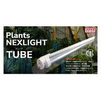 高島屋植物園 Plants NEXLIGHT TUBE 白色光 NL-T8-28-RW12/W 1本（直送品）