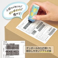 プラス ローラーケシポン スリムフィット パイナップル 個人情報保護スタンプ 40186 1個