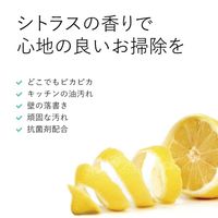 エコストア マルチクリーナー スプレー シトラス 500ml 1個 エコストアジャパン