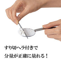 貝印 計量スプーン 大さじ 小さじ 小さじ1/2 ステンレス製 3本組 ヘラ付き DH8121 1個