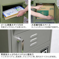 住まいスタイル ホルン ポスト一体型宅配ボックス No.01 幅440×奥行375×高さ840mm セージグリーン DB-001GRN 1台（直送品）
