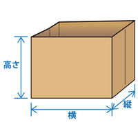 トレンドサイン 宅配用マチ付きクラフト袋 精米袋 10kg~30kg用 ダンボール代替外袋 SKPB-roL 1セット(100枚)（直送品）
