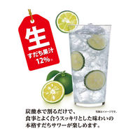 國盛 今夜のすだちサワーの素 パック 500ml 1セット（1本×12） 中埜酒造 リキュール 割り材