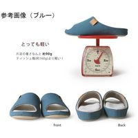 リゲッタ リゲッパハルナッツ ブルー M(22.5~24.5) CHR003-BLU-M 1足 65-9409-15（直送品）