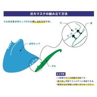 甲子化学工業 近大マスク 透明タイプ 10個入 KOP215 1箱(10個) 64-9091-40（直送品）