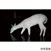 阪神交易 トロフィーカムXLT30MPノーグロウSC4K 119949C 1箱(1個) 65-9087-87（直送品）