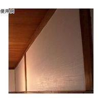 アズワン 100%オーガニックしっくい DIY NURI2 5kg ナチュラルホワイト 65-1332-10 1個（直送品）