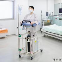 アズワン 歩行補助器(トール・ICUタイプ)本体 8-678-01 1個（直送品）