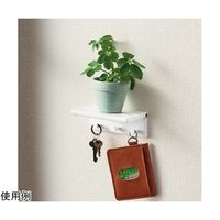 日軽産業 壁面用棚 kabetana 白 KT-HW 1個 64-9106-41（直送品）