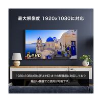 ホーリック USB TypeーC→VGA 変換ケーブル 10m UCVG100-758BB 1本 68-5059-51（直送品）