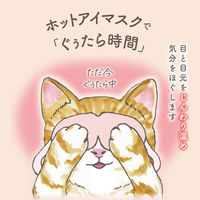 ホットアイマスク タマのきもち 1箱（5枚入） グローバルプロダクトプランニング