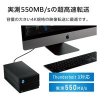 LaCie 外付けHDD 48TB 2big Dock 冷却ファン付 STLG48000400 ラシー 1個（直送品）