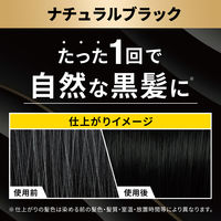 LUCIDO（ルシード） カラーリンスPRO パーフェクトブラック 120g マンダム