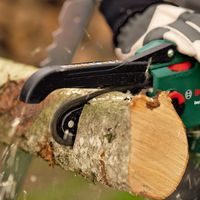 BOSCH ハンディーソー替刃ECHAIN用 F016800624 1個（直送品）