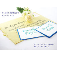 セーラー万年筆 ハイエースネオクリア カリグラフィー 1.0 12-0155-100 1本