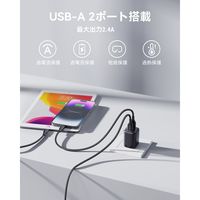 VOLTME USB充電器 TypeA 12Wx2 ブラック 折りたたみ式 V2077 1個