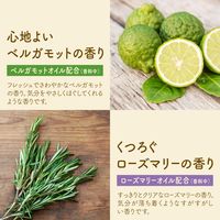 入浴剤 炭酸 温泡 ONPO ボタニカルタイム 無添加 1箱（4種×3錠入） 透明タイプ アース製薬