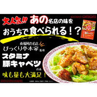 町中華 スタミナ豚キャベツの素 56g 1個 エスビー食品 時短 料理の素 S＆B