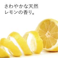 エコストア ディッシュウォッシュリキッド レモン 5L 1個 食器用洗剤 エコストアジャパン