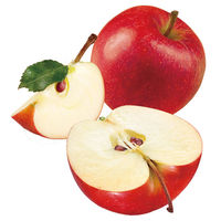 リプトン アップル ティーバッグ　1セット（1箱（15バッグ入）×3）