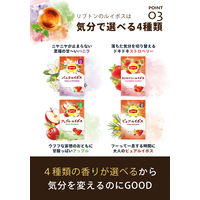 リプトン ヘルシースタイル アップルルイボス ティーバッグ 1個（15バッグ入）