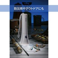 東芝 LED懐中電灯エコパッケージ KFL-32N(ECO) 1個
