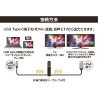 ナカバヤシ Type-C HDMIケーブル 4K60Hz対応 1m USD-4K10BK 1本