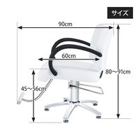 スタイリングチェア ST-629 オフホワイト (座面部分 + ベース) 特別セット 27430-SET-1 1台（直送品）